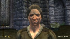 TES 4 Oblivion 